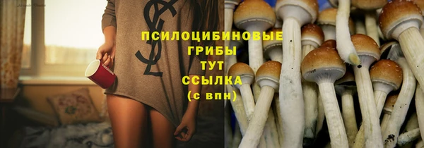 2c-b Абаза