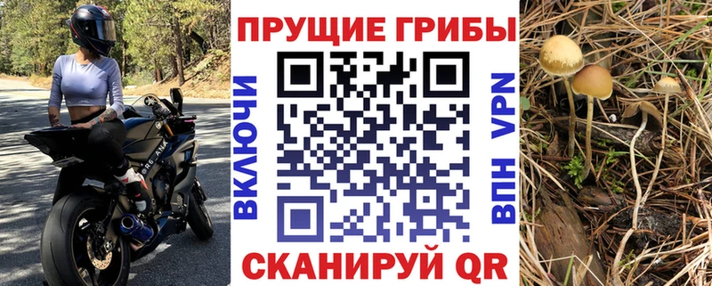 Псилоцибиновые грибы ЛСД  kraken как войти  Нижневартовск 